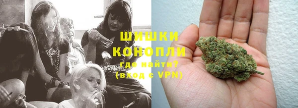 2c-b Горно-Алтайск