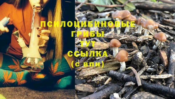 марки nbome Горнозаводск